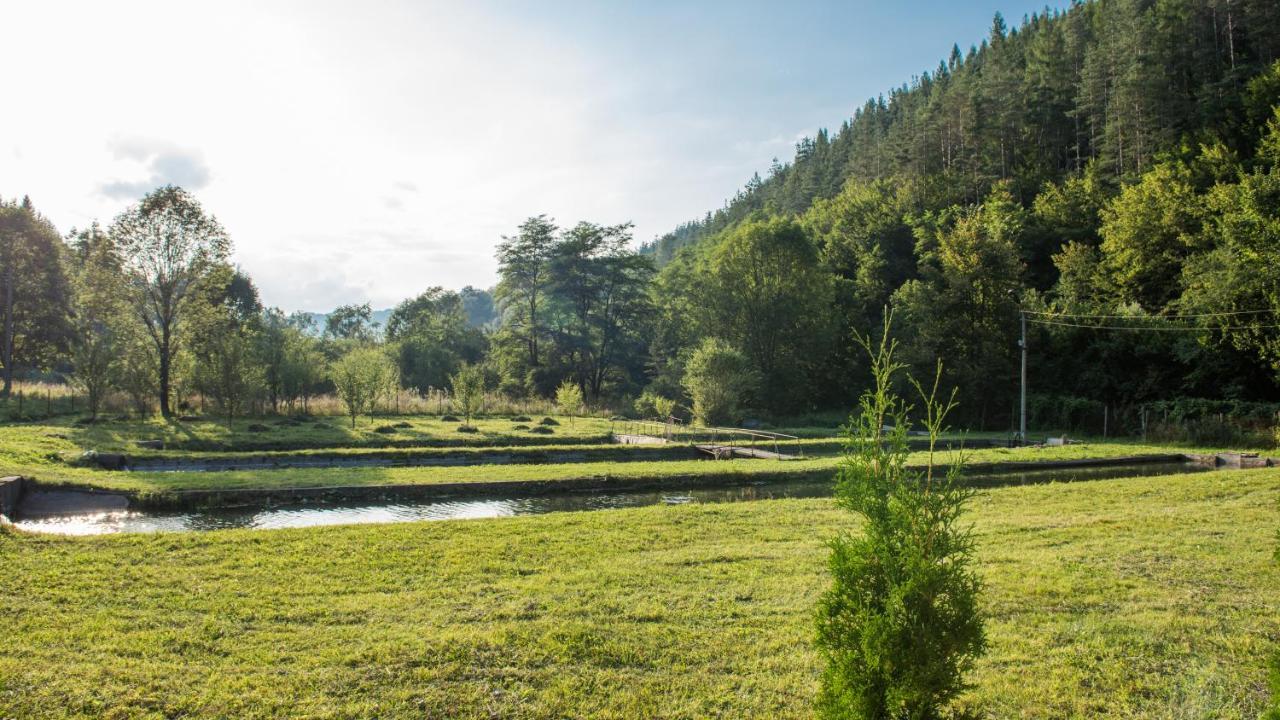Къща За Гости Черна Река Ribaritsa Exterior foto